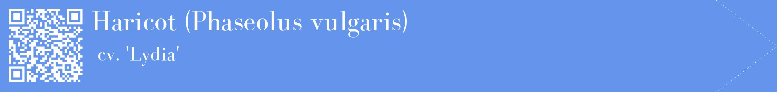 étiquette 2