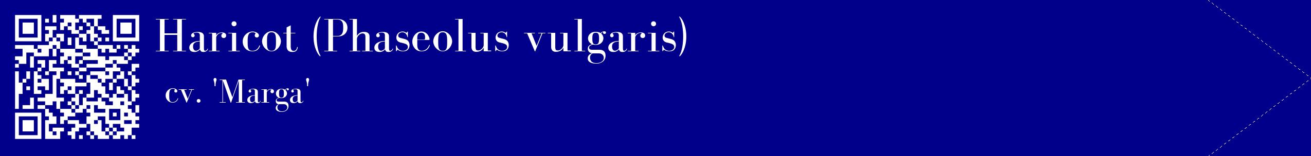 étiquette 2