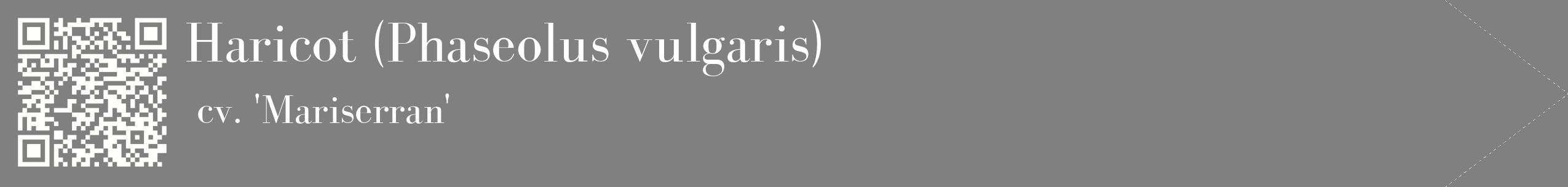 étiquette 2