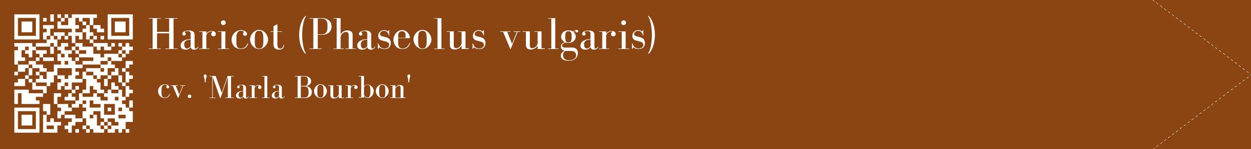 étiquette 2