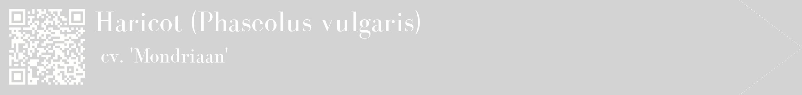 étiquette 2