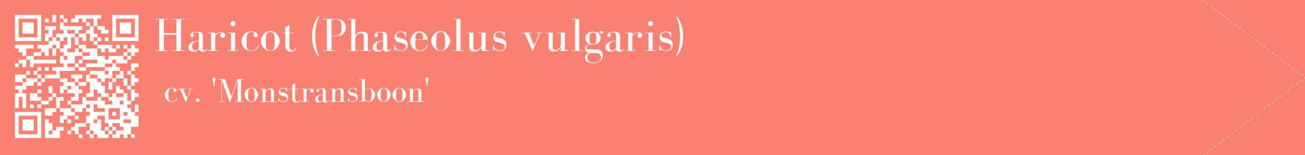 étiquette 2
