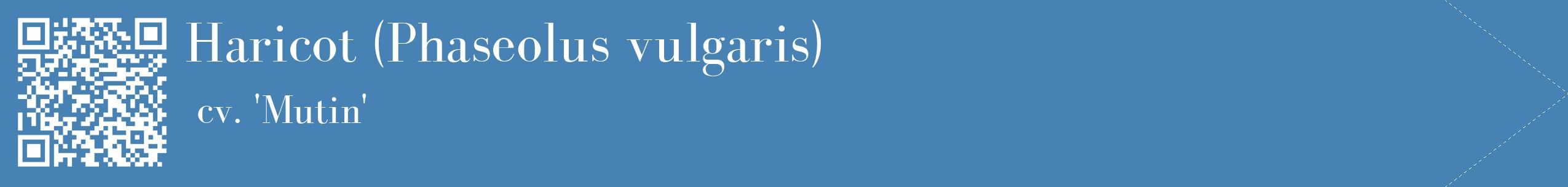 étiquette 2