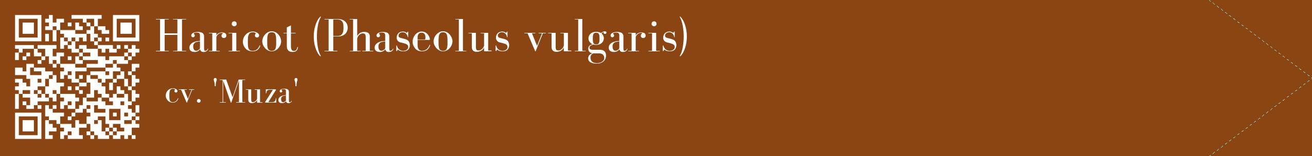 étiquette 2