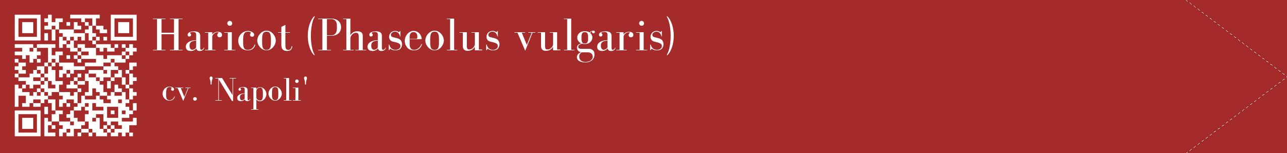 étiquette 2