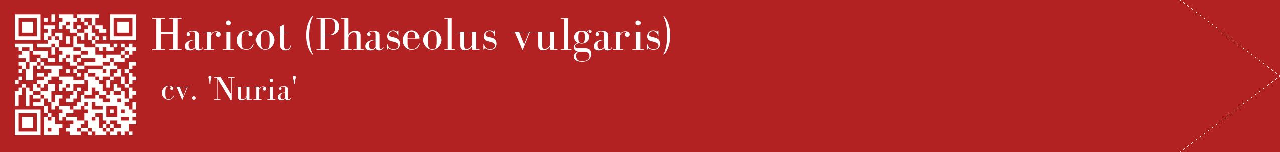 étiquette 2