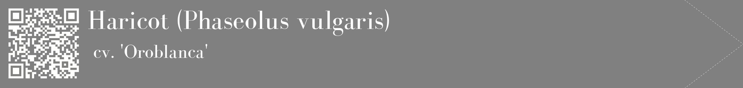 étiquette 2