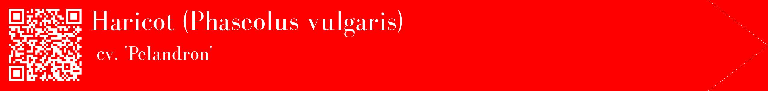 étiquette 2