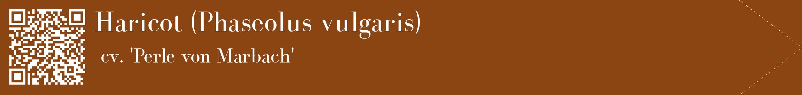 étiquette 2