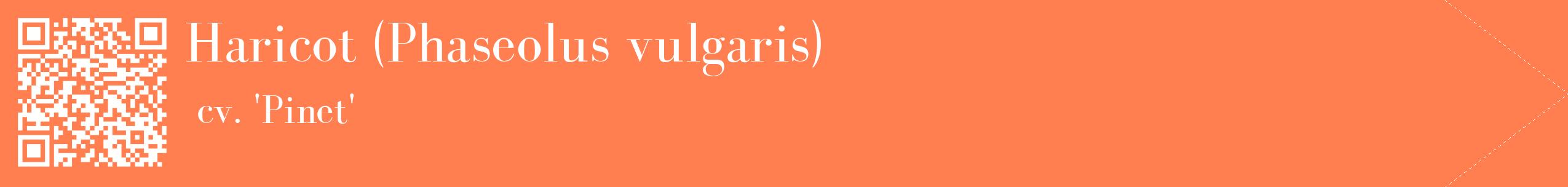 étiquette 2