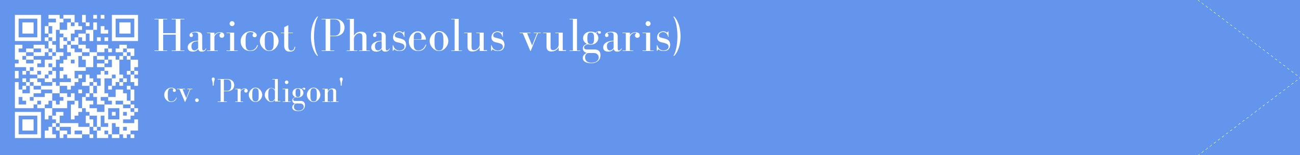 étiquette 2