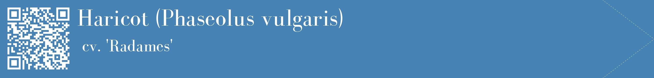 étiquette 2