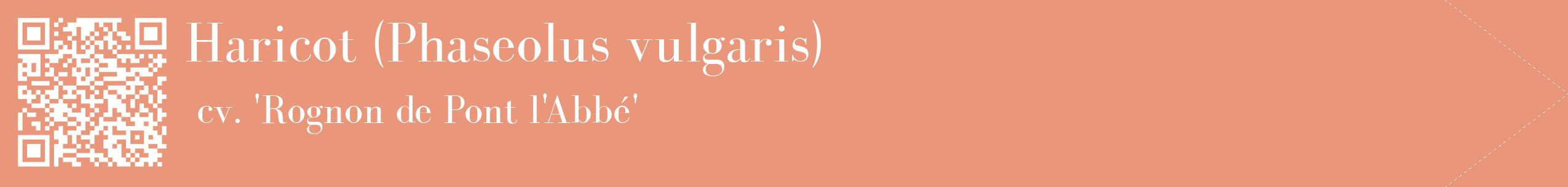 étiquette 2