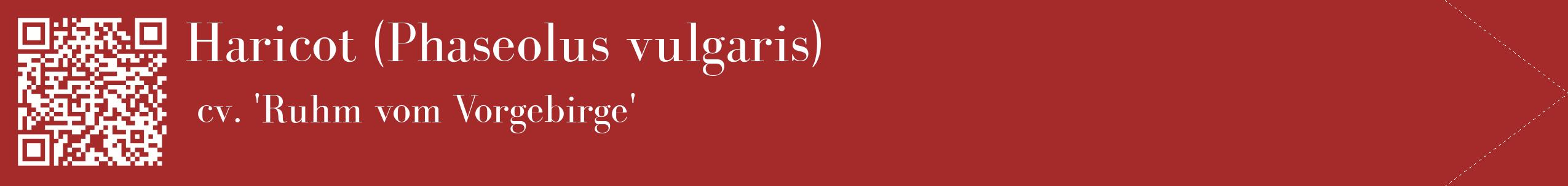 étiquette 2