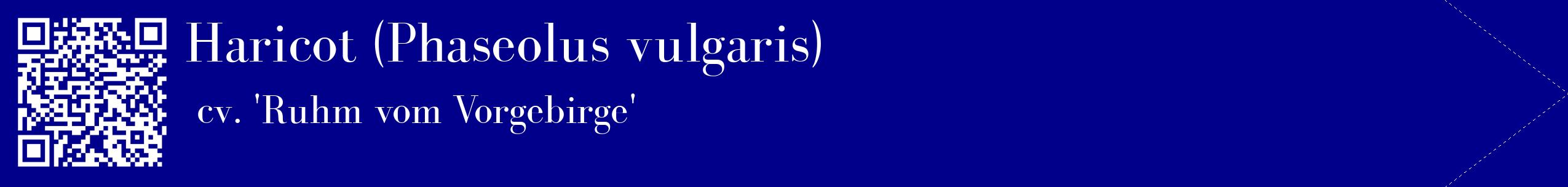 étiquette 2
