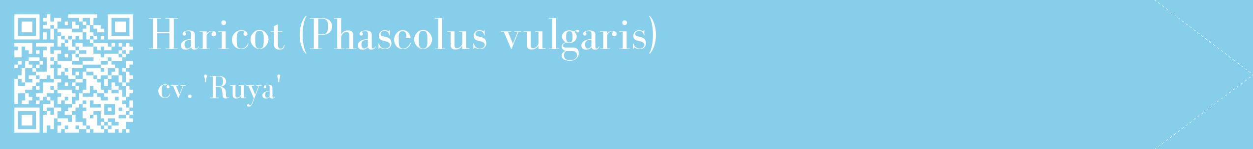étiquette 2