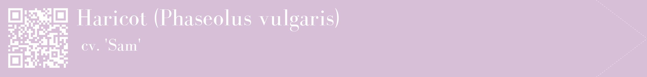 étiquette 2