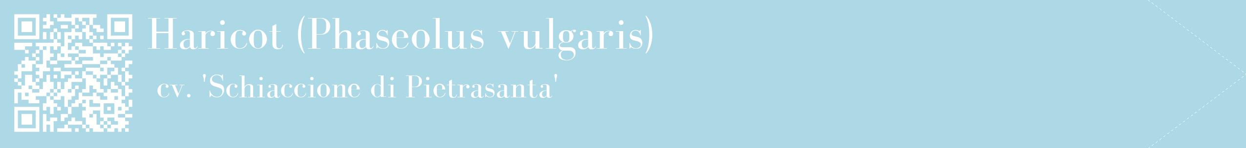 étiquette 2