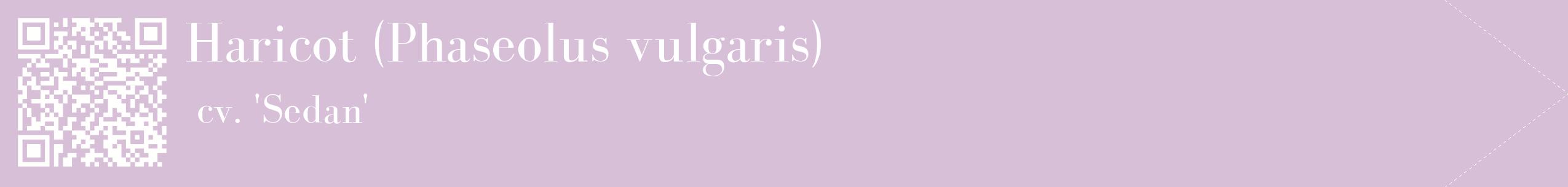 étiquette 2