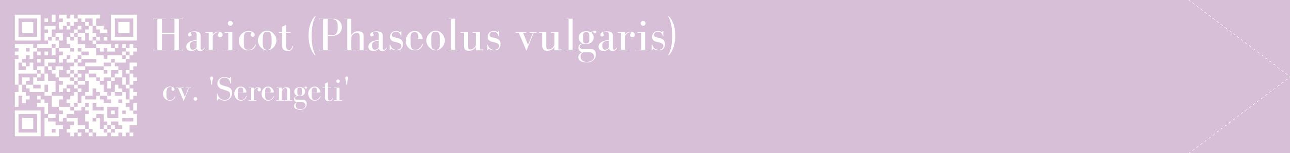étiquette 2