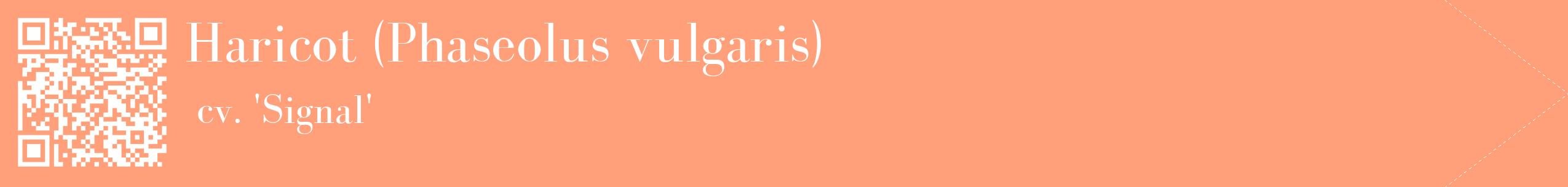 étiquette 2
