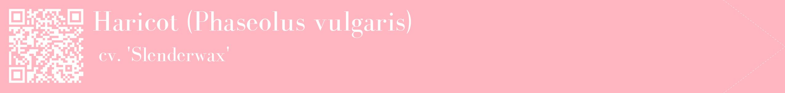 étiquette 2