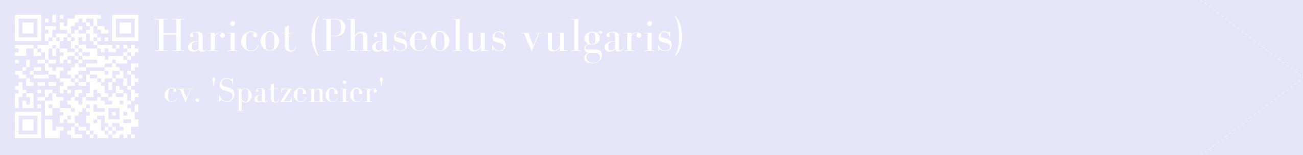 étiquette 2