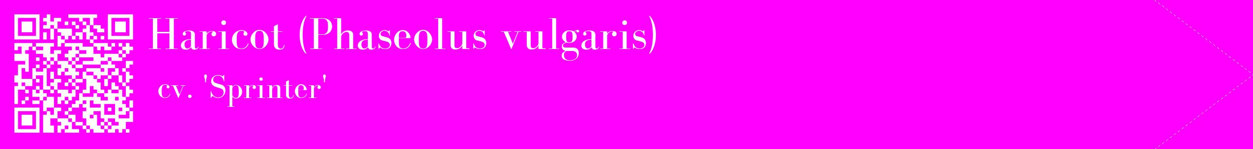 étiquette 2