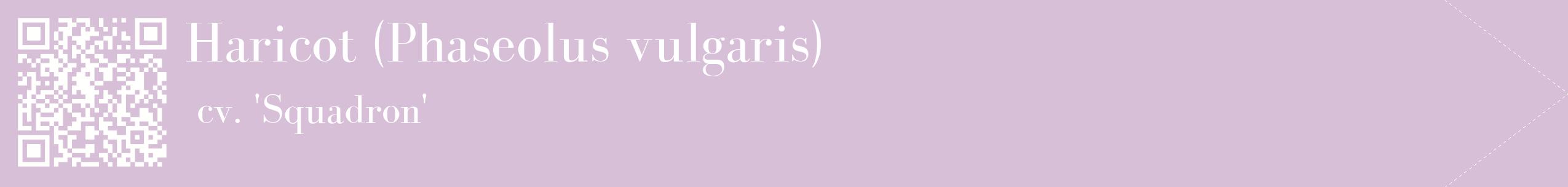 étiquette 2