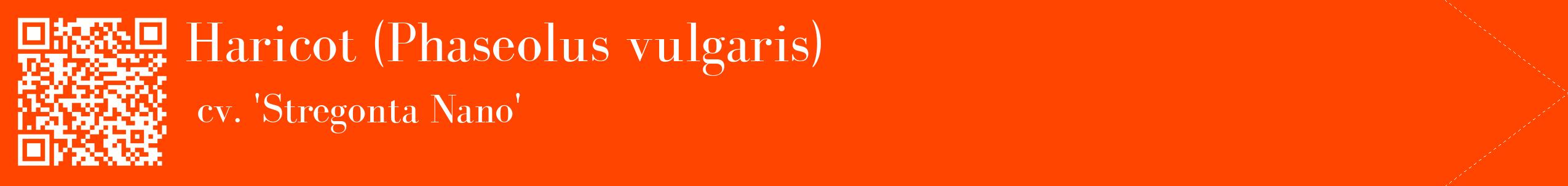 étiquette 2
