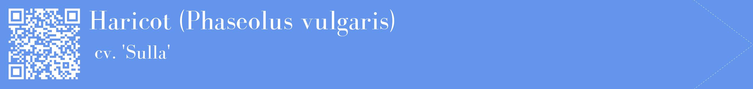 étiquette 2