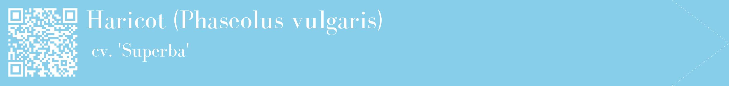 étiquette 2
