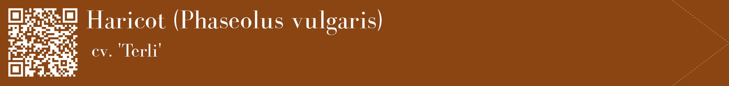 étiquette 2
