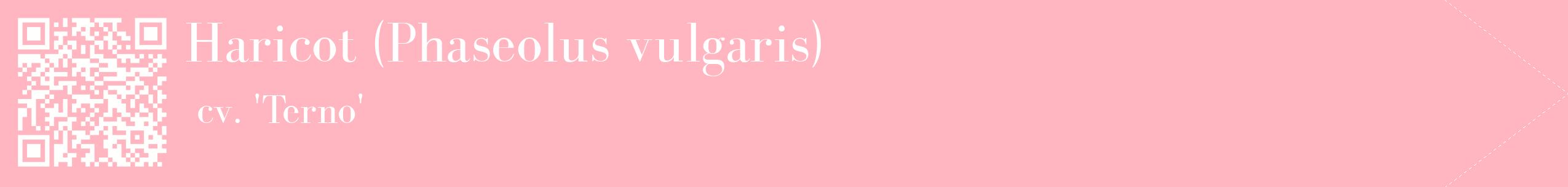 étiquette 2