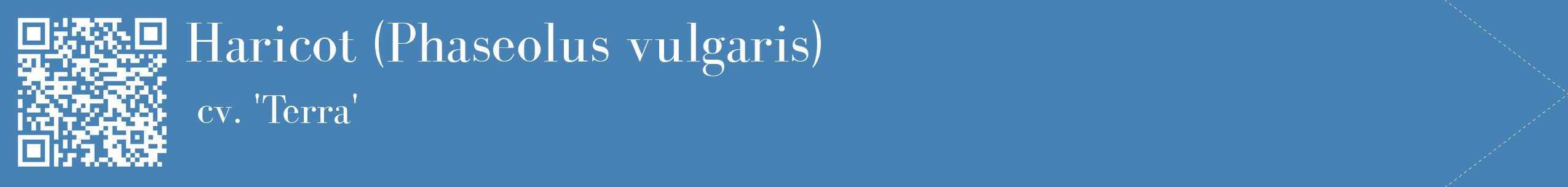 étiquette 2