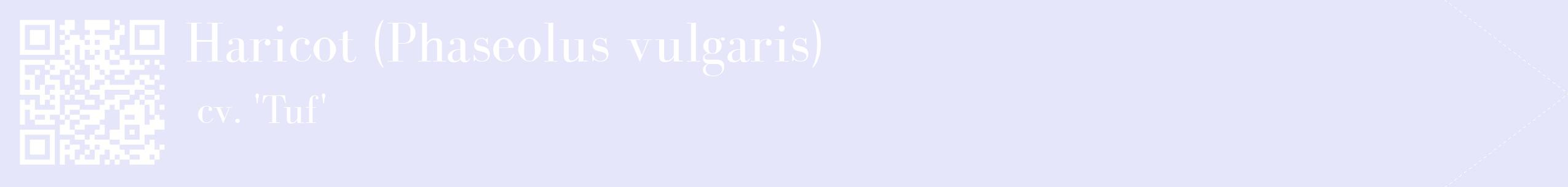 étiquette 2