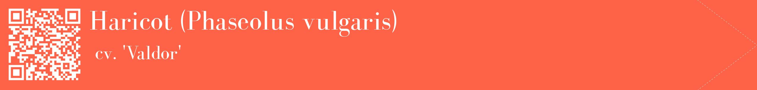 étiquette 2