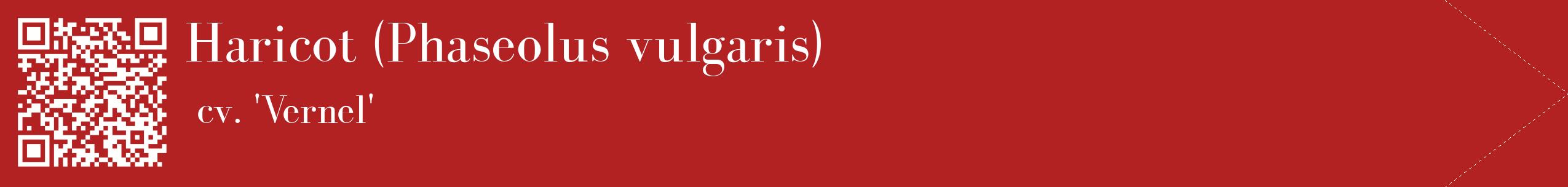 étiquette 2