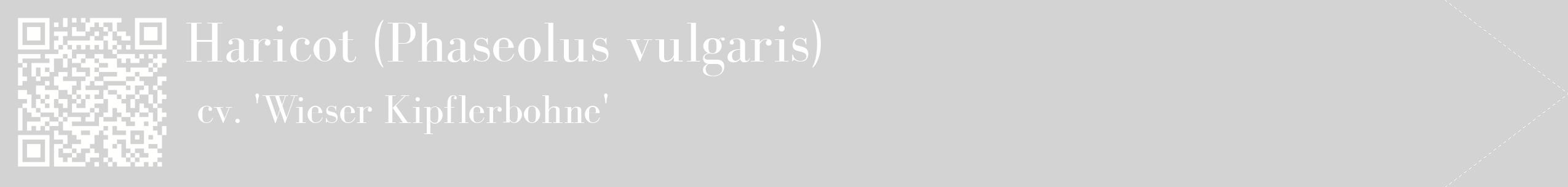 étiquette 2