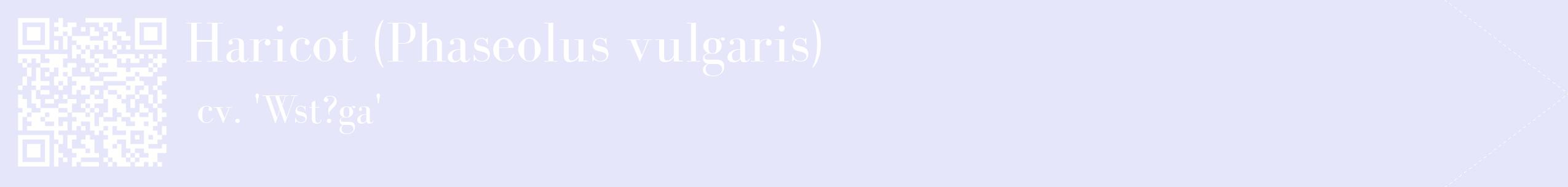 étiquette 2