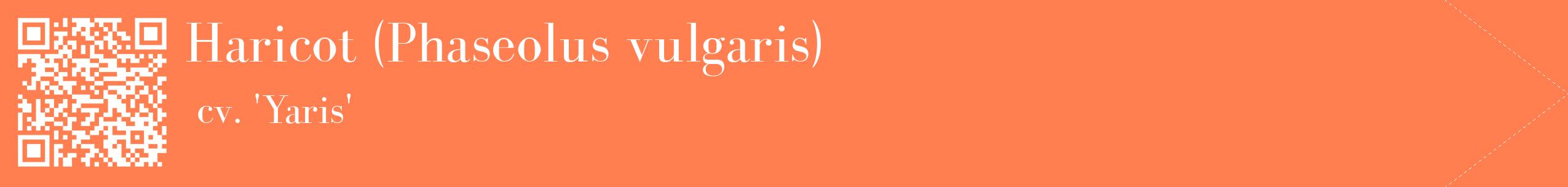 étiquette 2