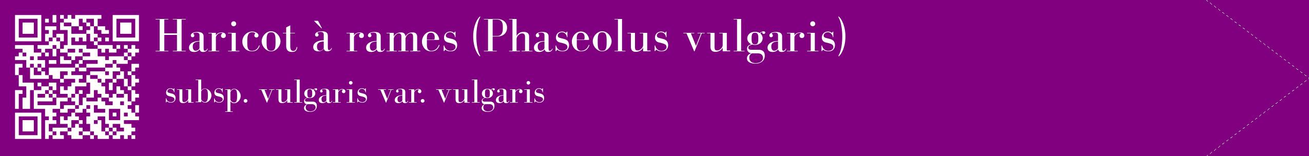étiquette 2