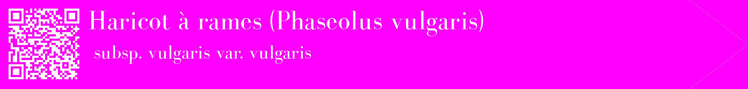étiquette 2