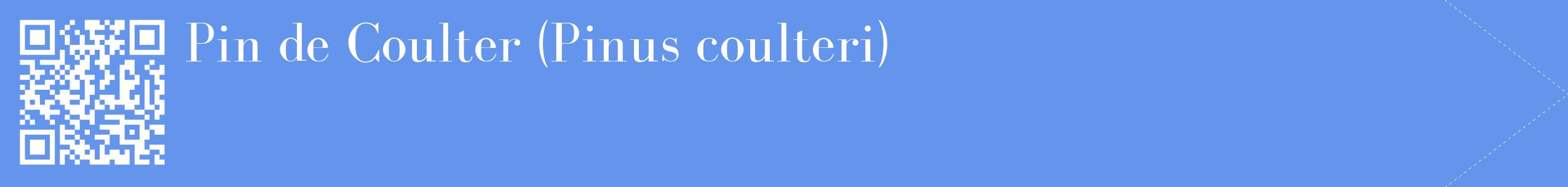 étiquette 2