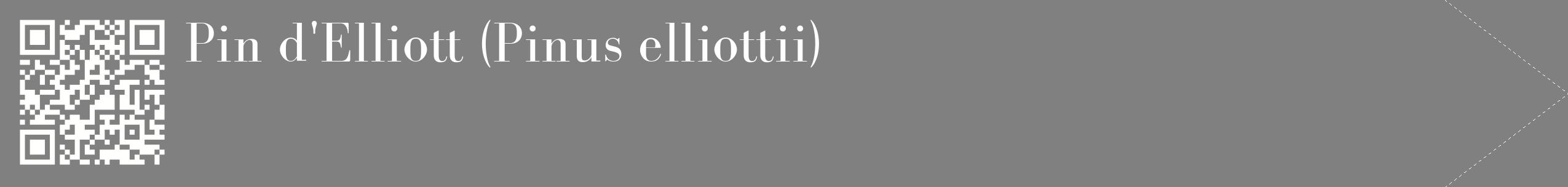 étiquette 2
