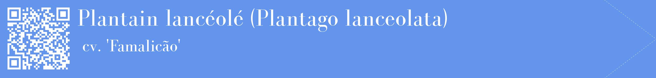 étiquette 2
