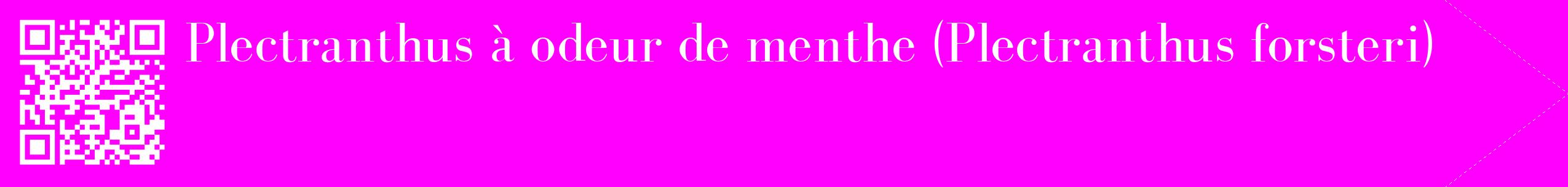 étiquette 2