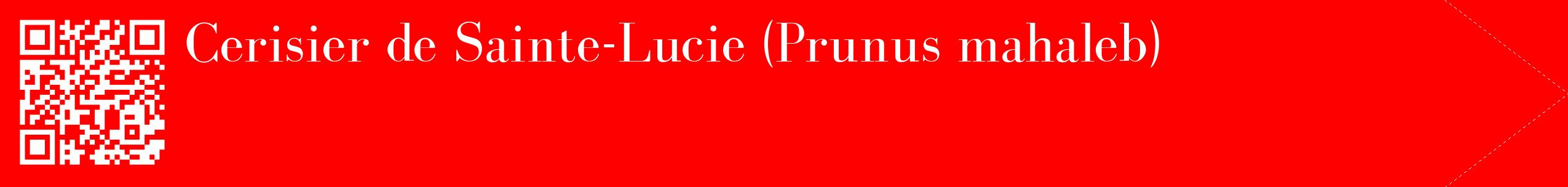 étiquette 2