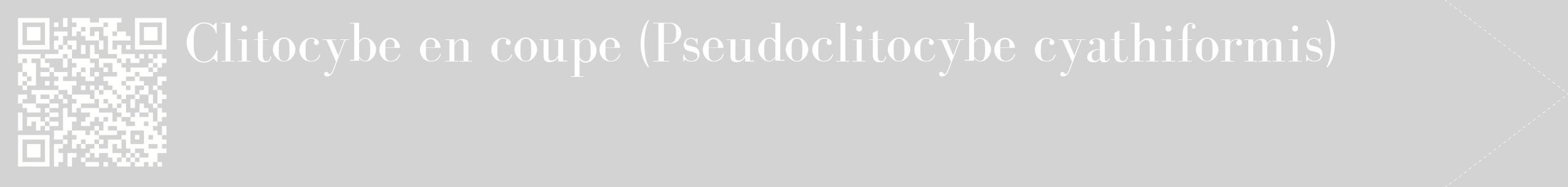 étiquette 2