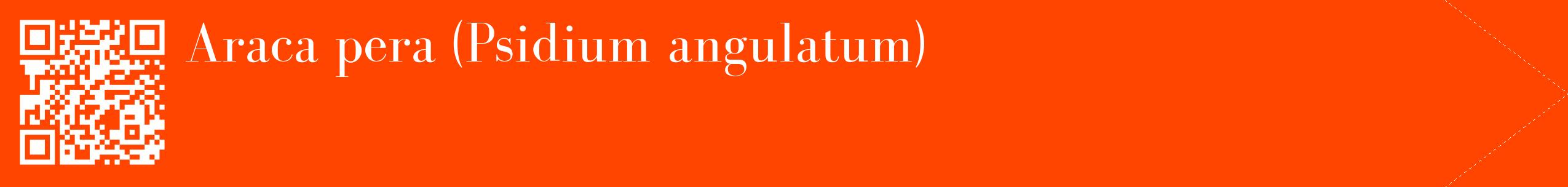 étiquette 2
